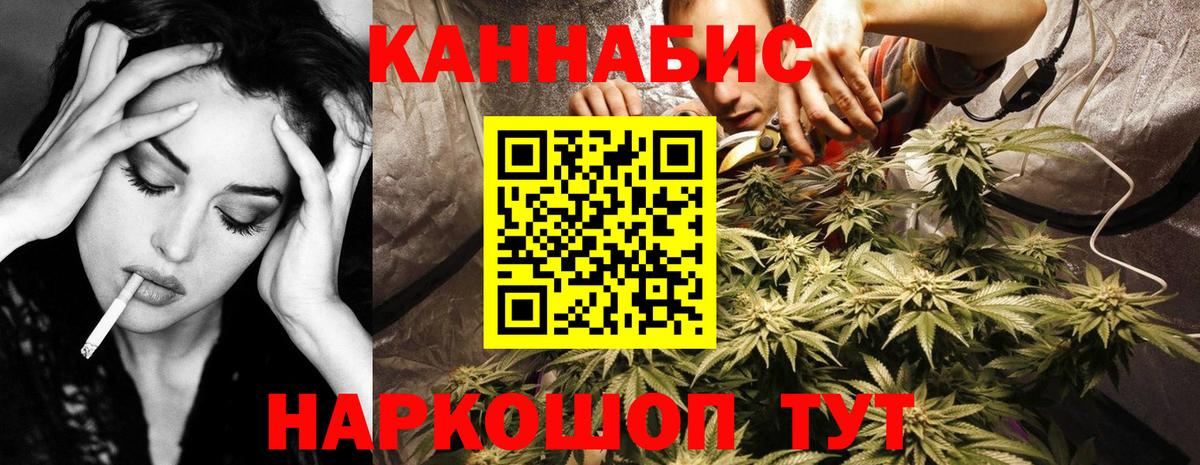 Каннабис планчик  Шишки марихуана семена  Шишки марихуана план  Людиново  Вход с VPN 